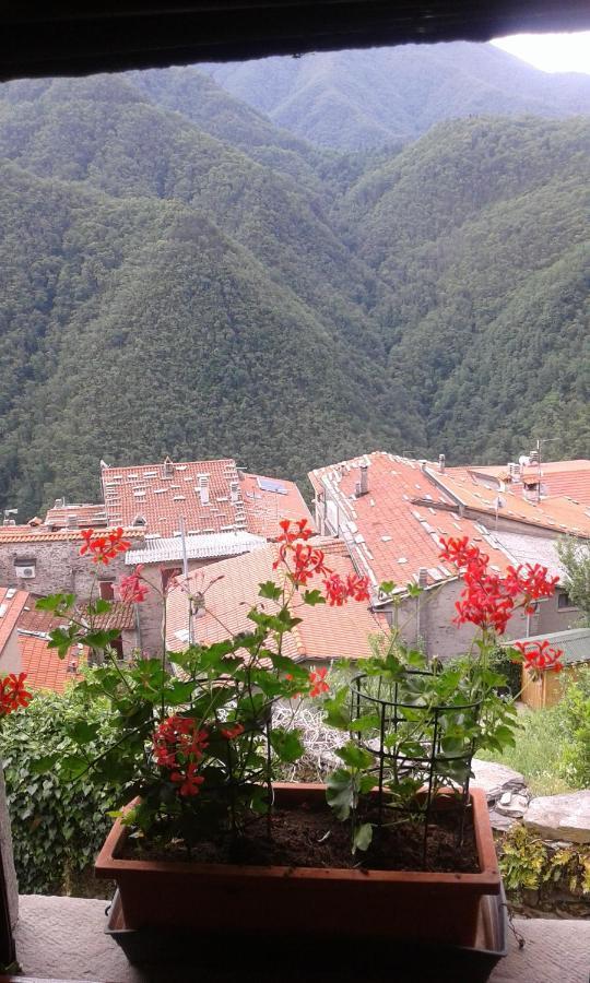 Casa Poggio Delle Farfalle Stazzema ภายนอก รูปภาพ